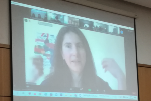 Encontro em linha com Ana Pessoa
